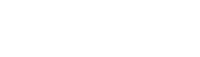 logo Pimster